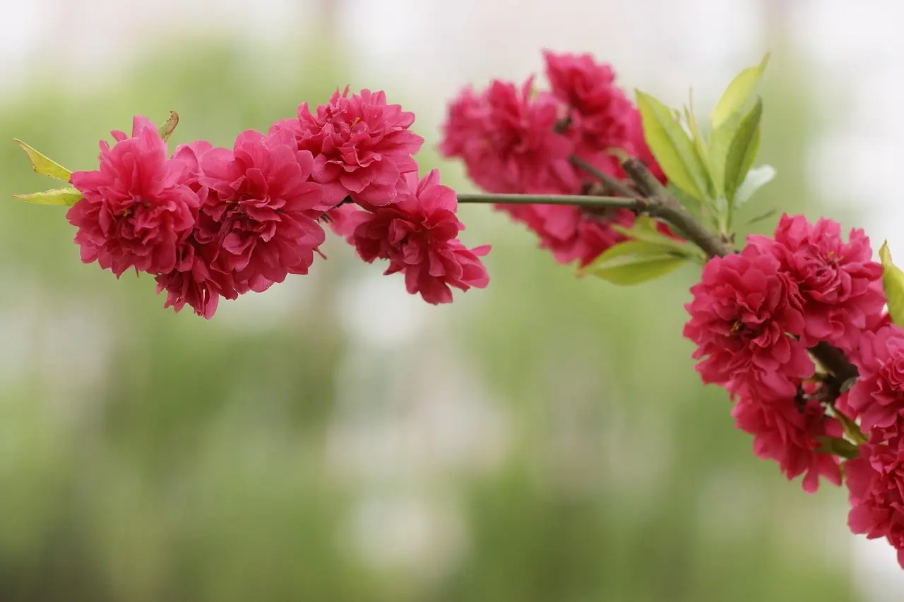 27791023 – Hvad er det?