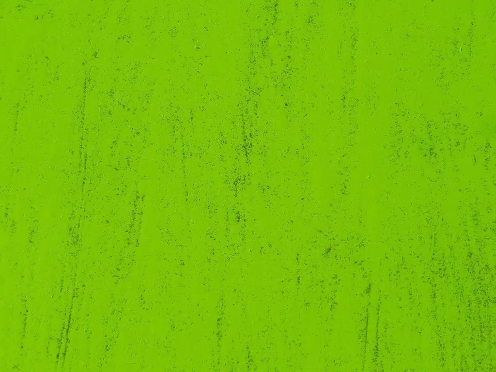 7 typiske fejl, der giver striber i malingen