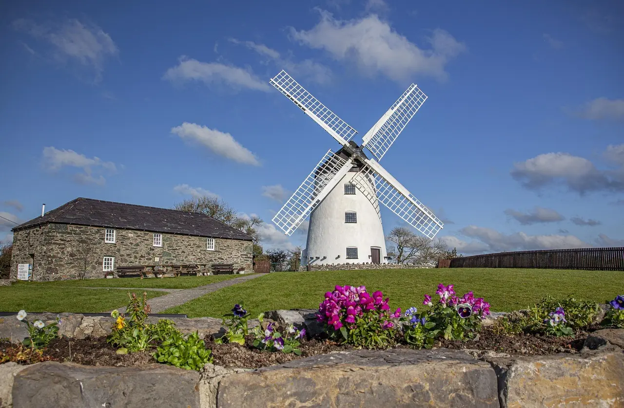 Hvad koster rullegræs pr m2? - Sådan får du flot græs uden at sprænge budgettet