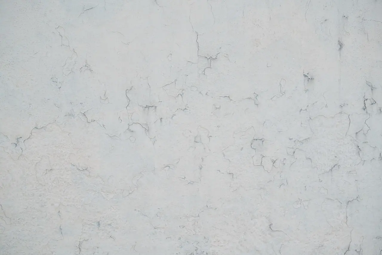 Sådan maler du pudsede indervægge, så de ikke suger